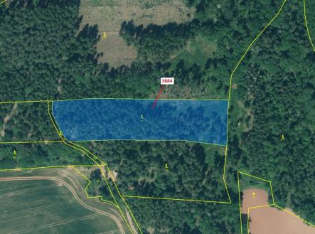 Prodej pozemku, les, 7 695 m²