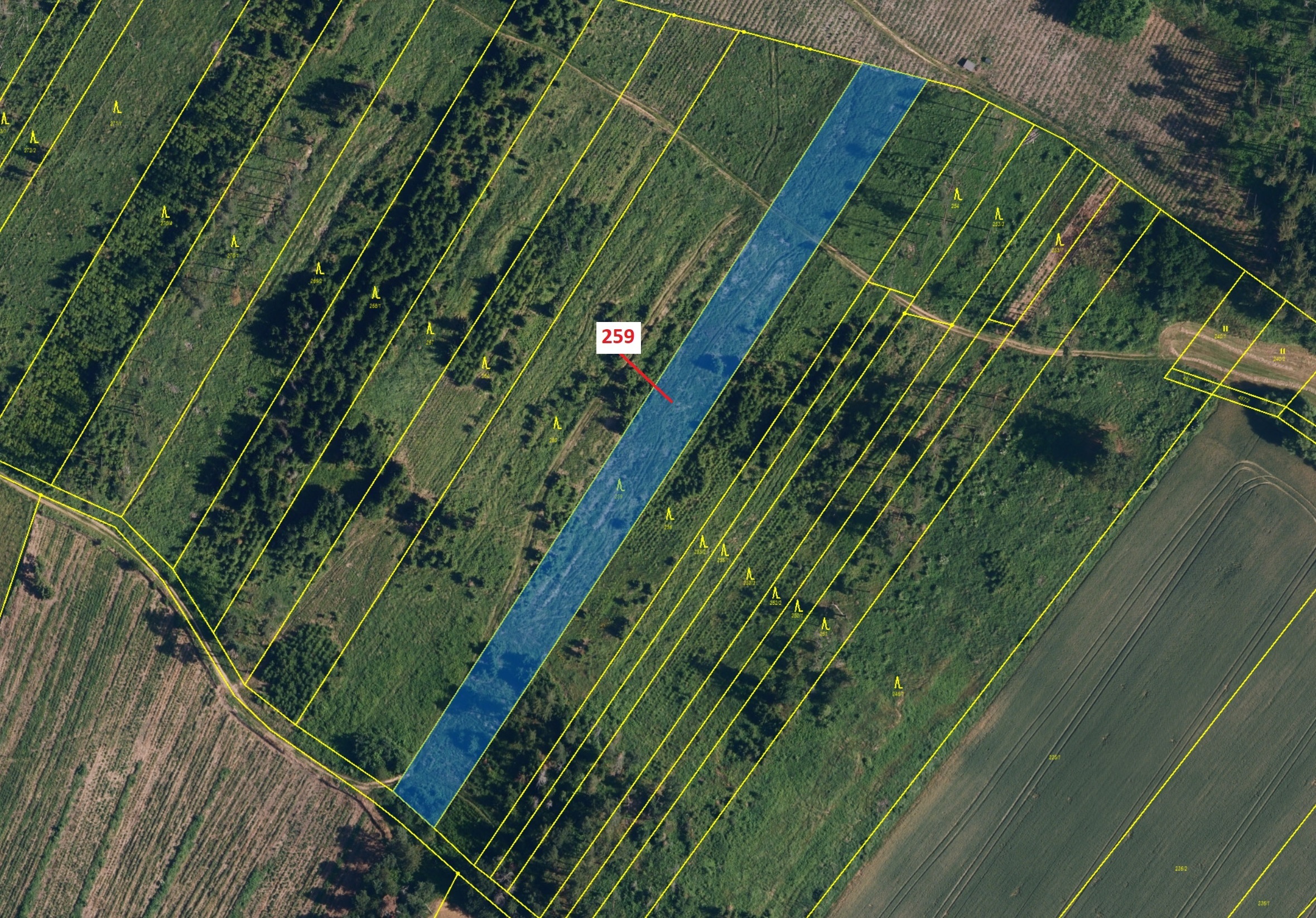 Lesní pozemek o výměře 6 645 m2, podíl 1/1, katastrální území Vícenice u Dolních Lažan, obec Vícenic