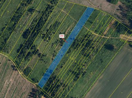 Prodej pozemku, les, 6 645 m²