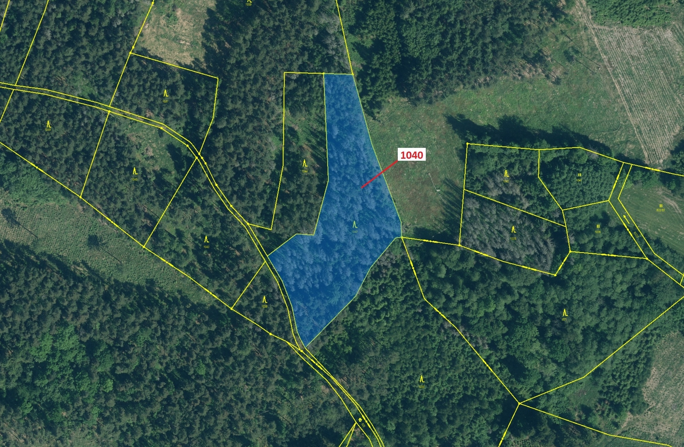 Lesní pozemek o výměře 6 519 m2, podíl 1/1, katastrální území Bezděkov u Kasejovic, obec Hradiště, o