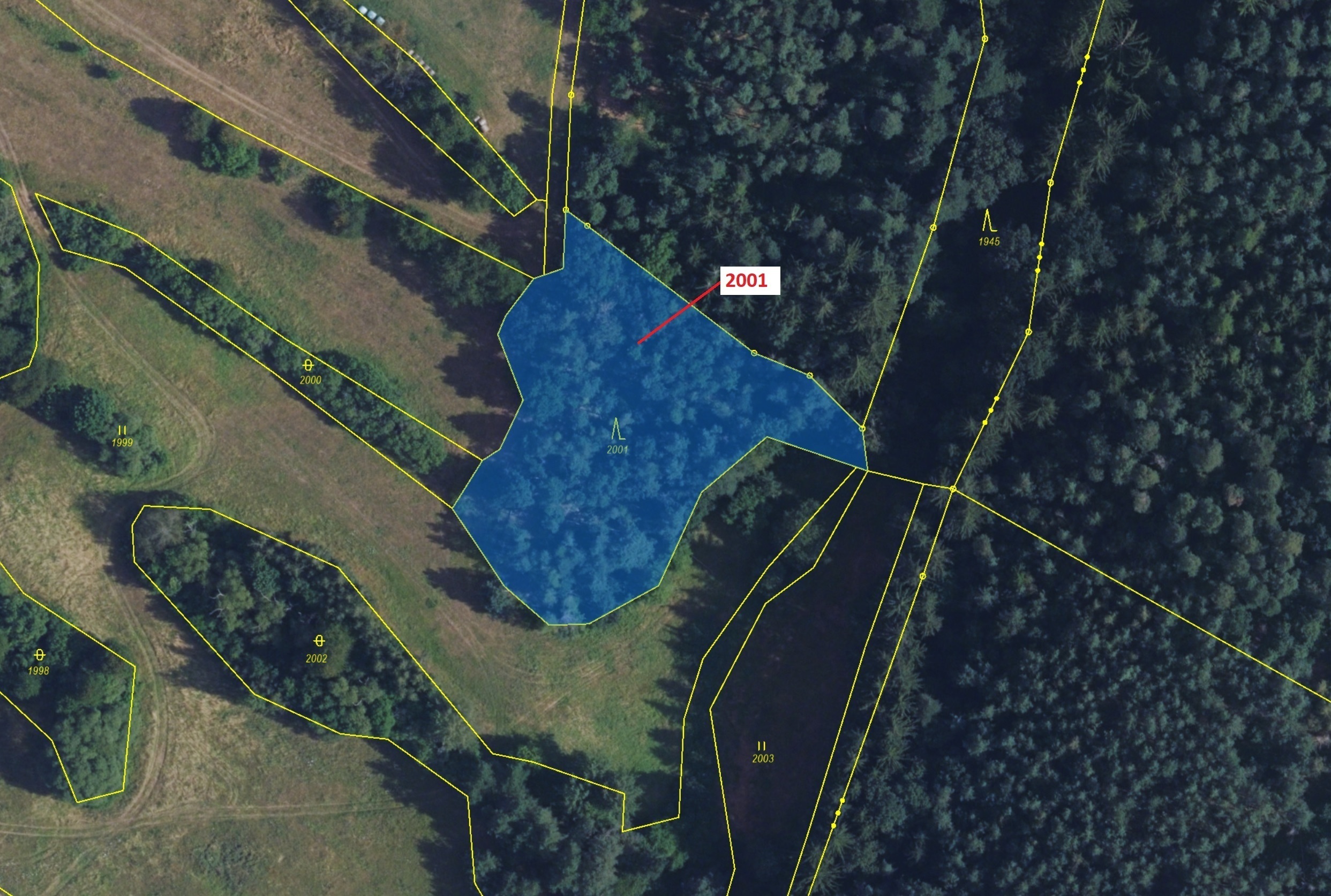 Lesní pozemek o výměře 2873 m2, podíl 1/1, katastrální území Žďárec, obec Žďárec, obec s rozšířenou 