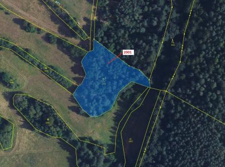 Prodej pozemku, les, 2 873 m²