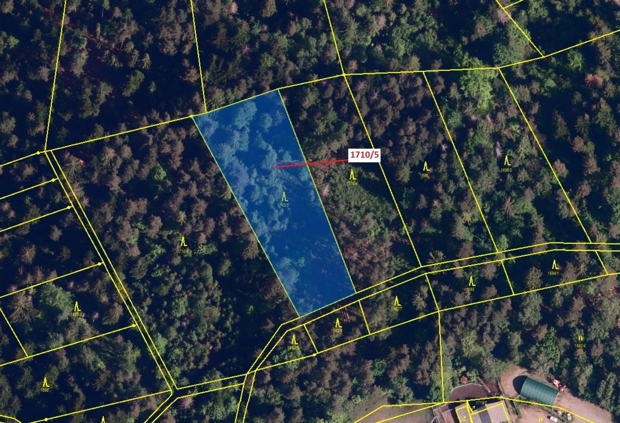 Lesní pozemek o výměře 3528 m2, podíl 1/1, katastrální území Návsí, obec Návsí, obec s rozšířenou pů