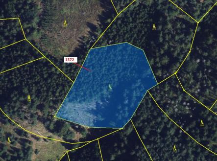 Prodej pozemku, les, 5 978 m²