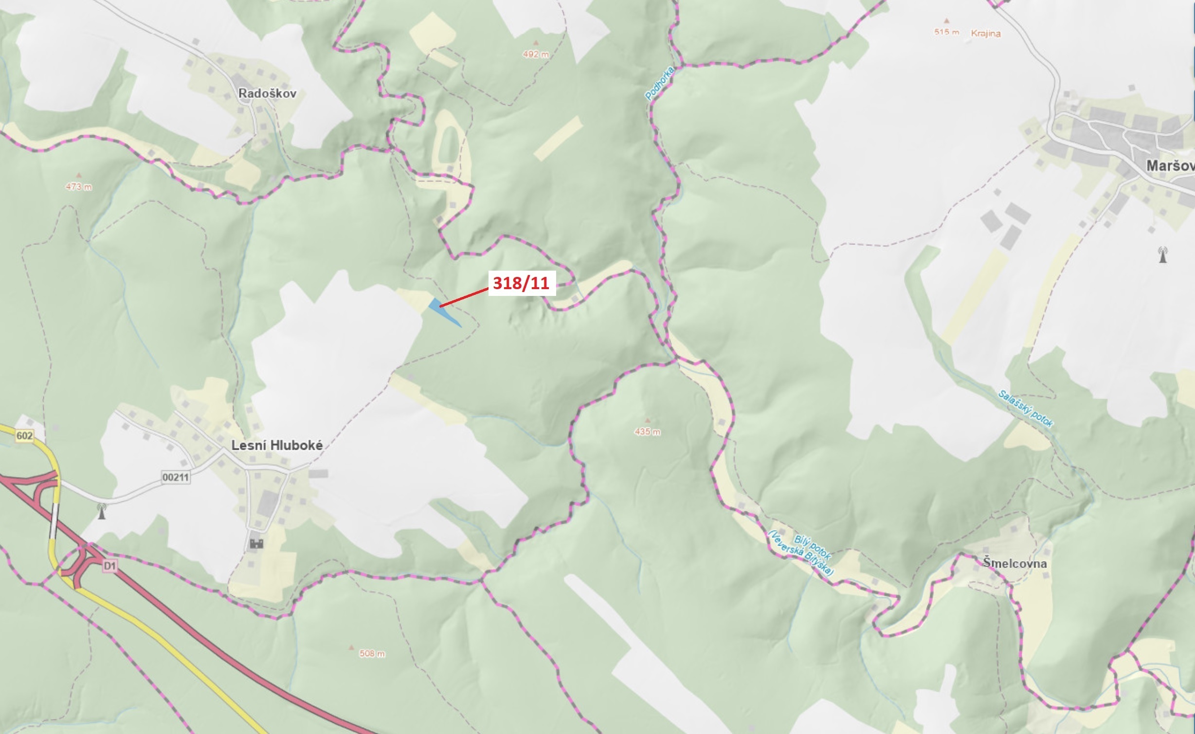 Lesní pozemek o výměře 3838 m2, podíl 1/1, katastrální území Lesní Hluboké, obec Lesní Hluboké, obec