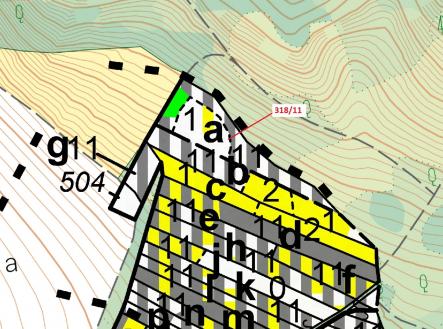 Prodej pozemku, les, 3 838 m²