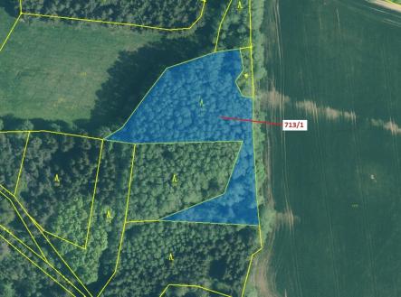 Prodej pozemku, les, 5 067 m²