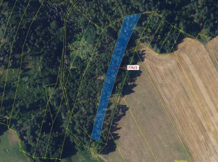 Prodej pozemku, les, 3 169 m²