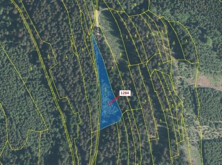 Prodej pozemku, les, 3 805 m²