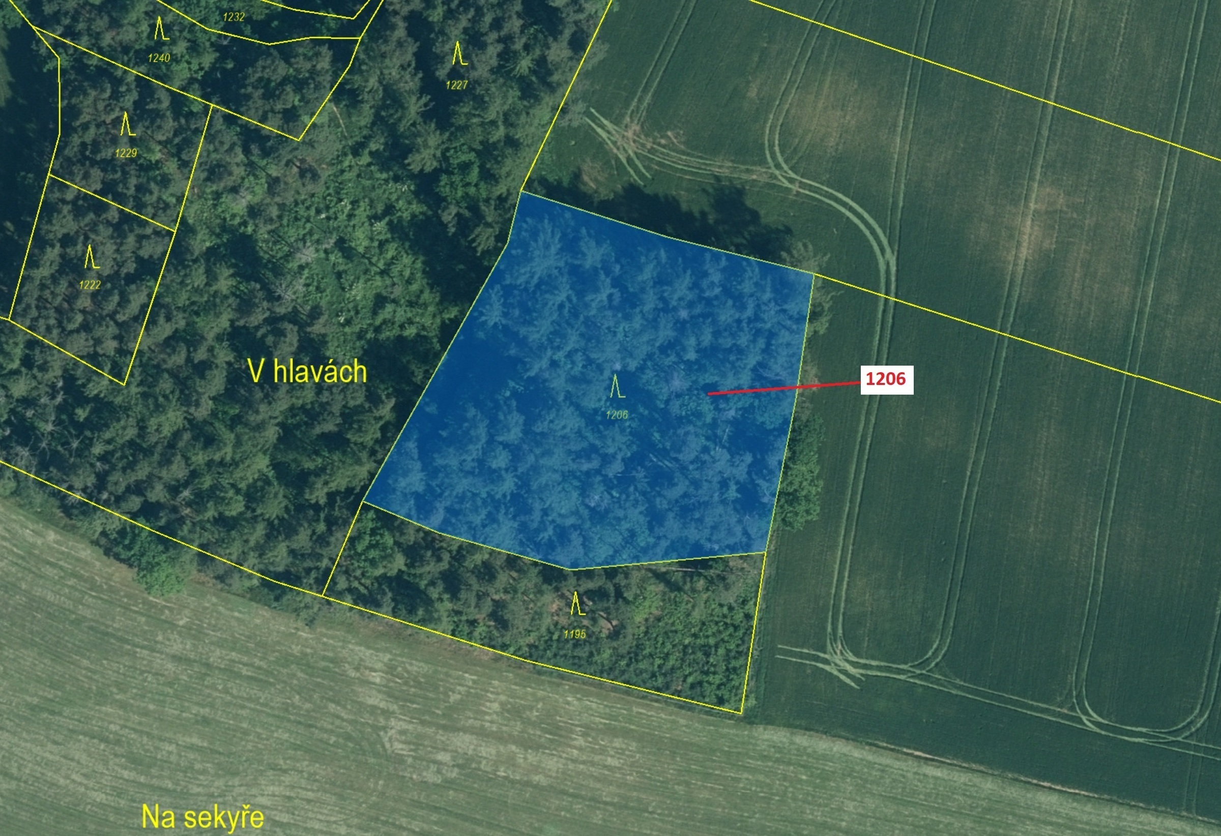 Lesní pozemek o výměře 3 718 m2, podíl 1/1, katastrální území Bezděkov u Kasejovic, obec Hradiště, o