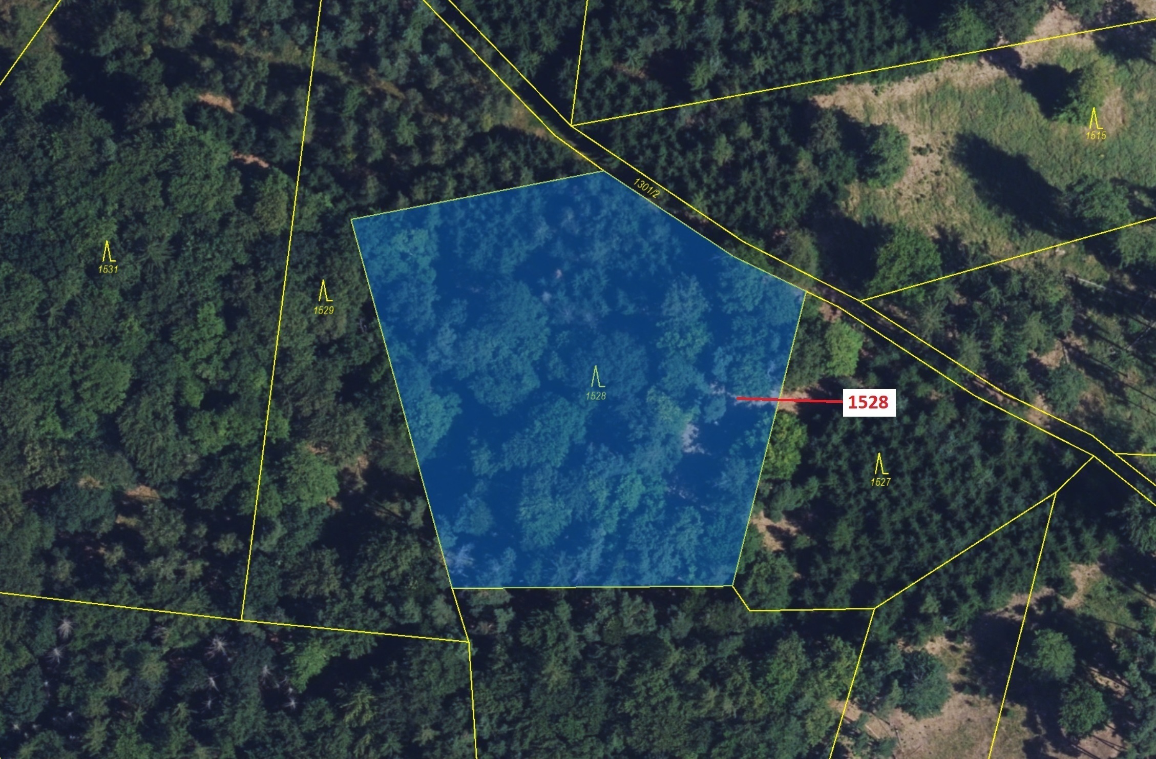 Lesní pozemek o výměře 5 323 m2, podíl 1/1, katastrální území Vranová, obec Vranová Lhota, obec s ro