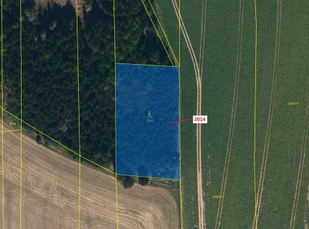 Prodej pozemku, les, 2 931 m²