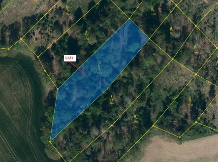 Prodej pozemku, les, 2 998 m²