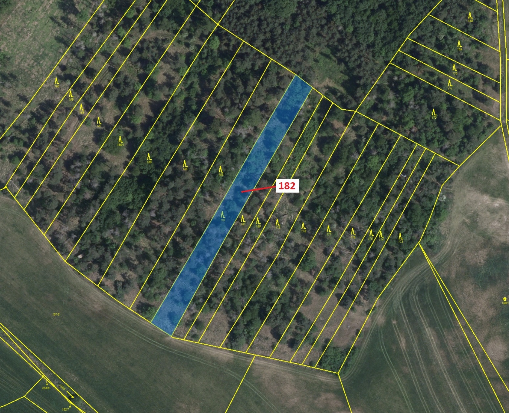 Lesní pozemek o výměře 2665 m2, podíl 1/1, katastrální území Klučov, obec Klučov, obec s rozšířenou 