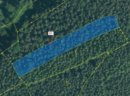 Prodej pozemku, les, 2 913 m²