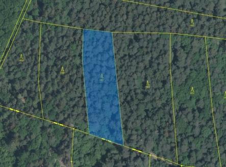 Prodej pozemku, les, 3 147 m²