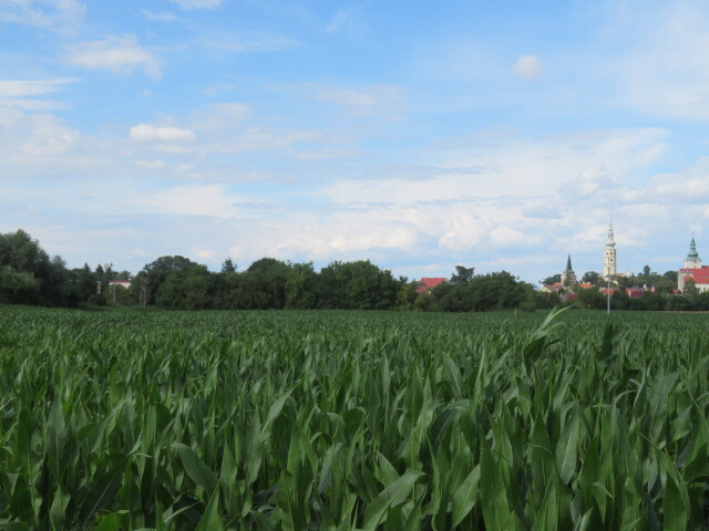 Pozemek o velikosti 903m2, Tovačov