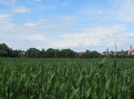 Prodej pozemku, zemědělská půda, 903 m²