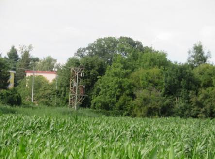 Prodej pozemku, zemědělská půda, 903 m²