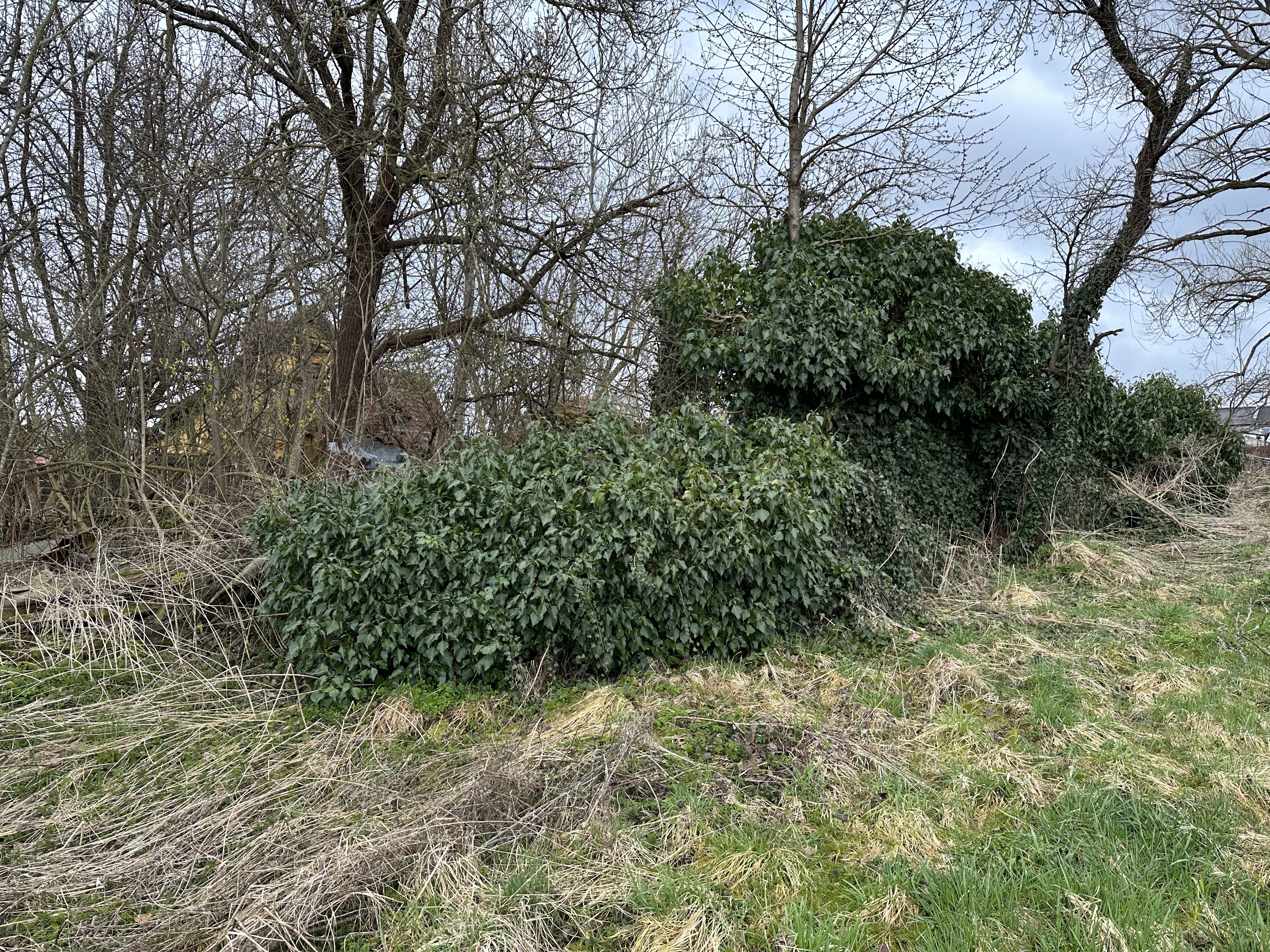 ideální podíl 7/9 pozemku - ostatní plocha v k.ú. Malonty, okres Český Krumlov