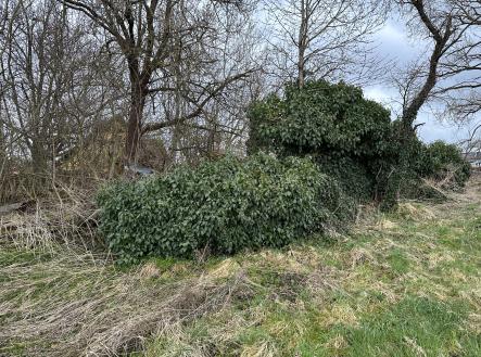 Prodej pozemku, ostatní, 135 m²