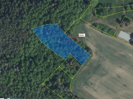 Prodej pozemku, les, 2 458 m²