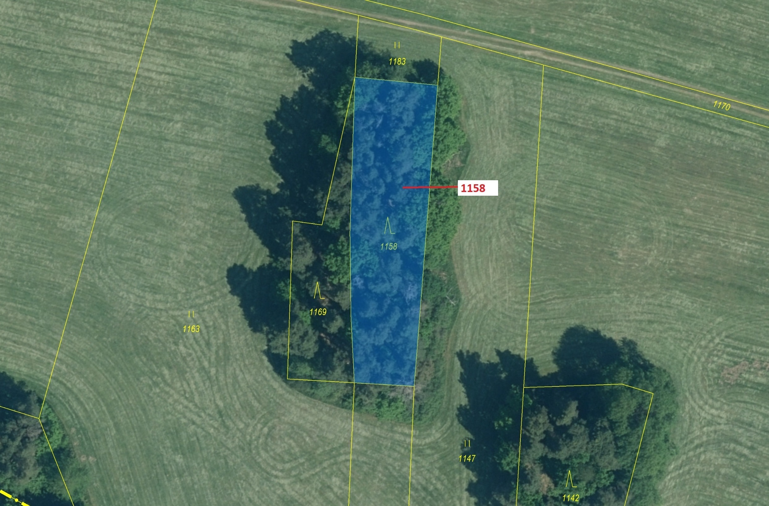 Lesní pozemek o výměře 1 323 m2, podíl 1/1, katastrální území Bezděkov u Kasejovic, obec Hradiště, o