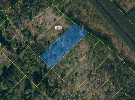 Prodej pozemku, les, 1 976 m²