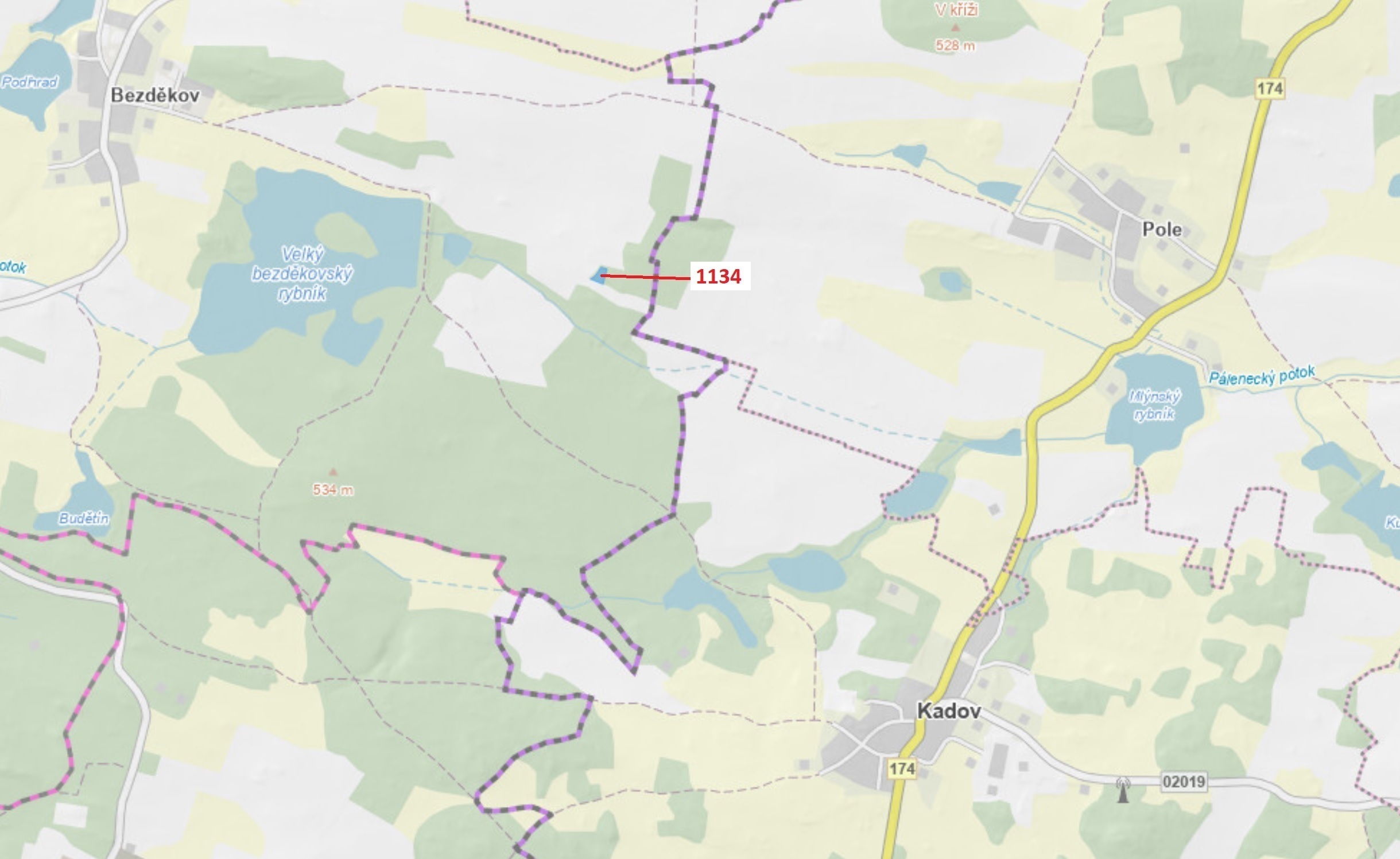 Lesní pozemek o výměře 1 083 m2, podíl 1/1, katastrální území Bezděkov u Kasejovic, obec Hradiště, o