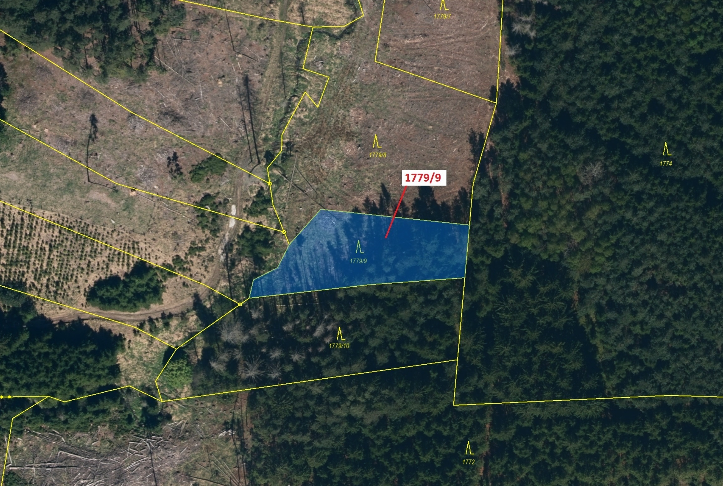 Lesní pozemek o výměře 1388 m2, podíl 1/1, katastrální území Štítné, obec Žirovnice, obec s rozšířen