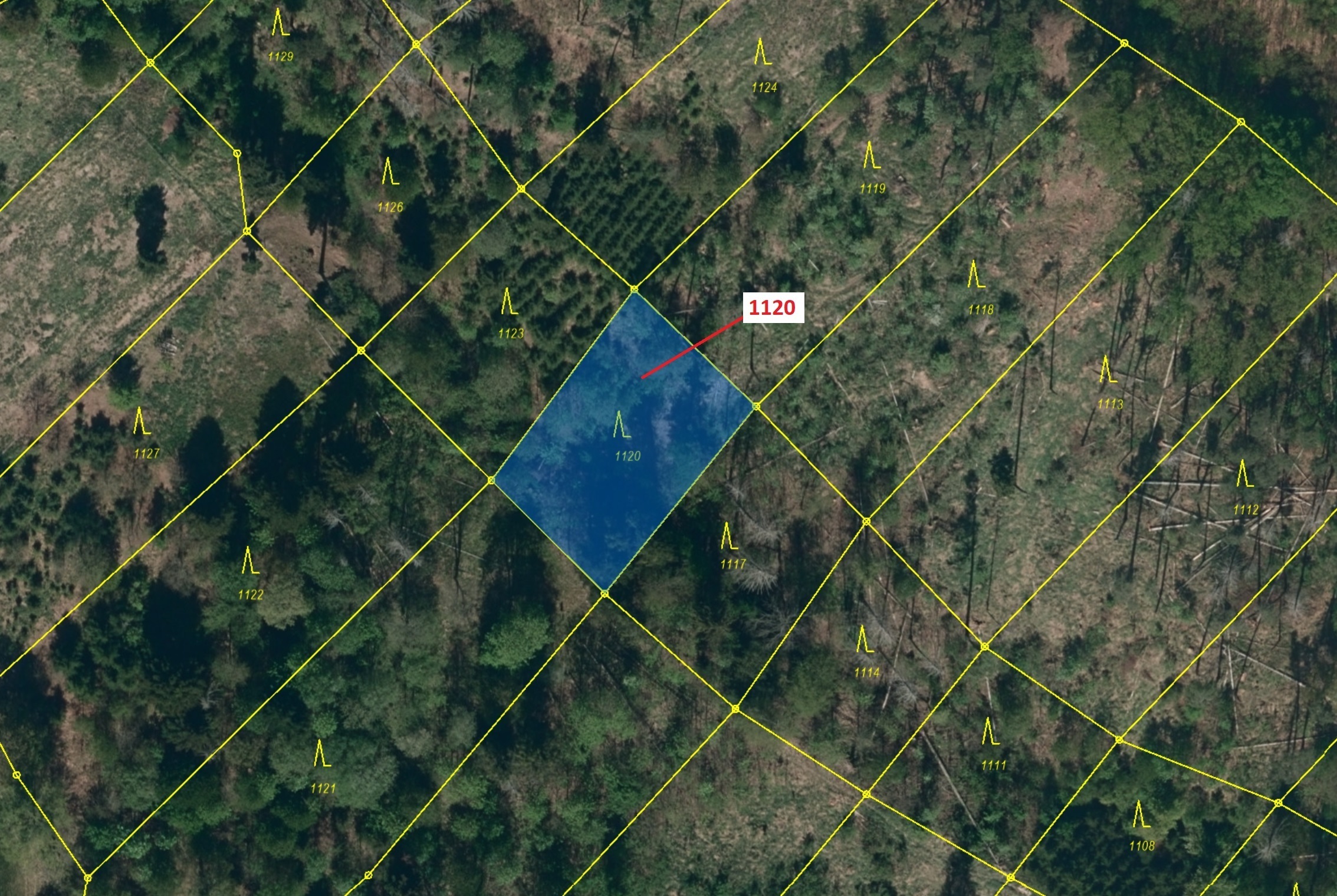 Lesní pozemek o výměře 931 m2, podíl 1/1, katastrální území Jedov, obec Náměšť nad Oslavou, obec s r