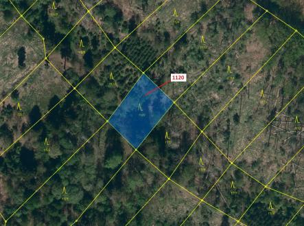 Prodej pozemku, les, 931 m²