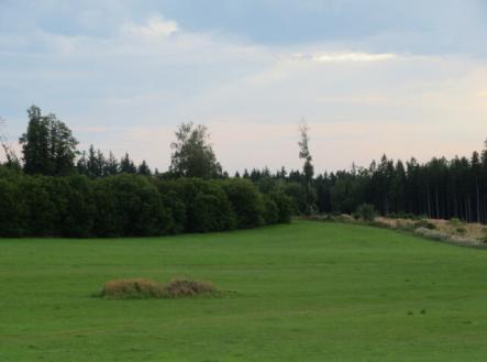 Prodej pozemku, zemědělská půda, 11 945 m²