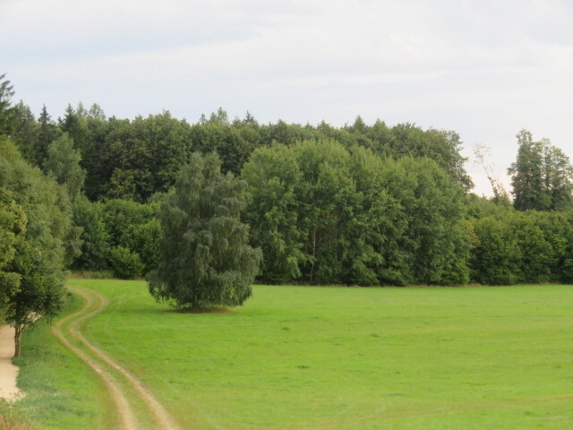 Pozemek o velikosti 11945m2, Počátky