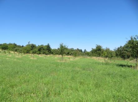 Prodej pozemku, ostatní, 5 768 m²