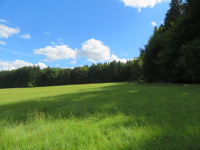 Pozemek o velikosti 4175m2, Pec okr. Domažlice, podíl 1/15