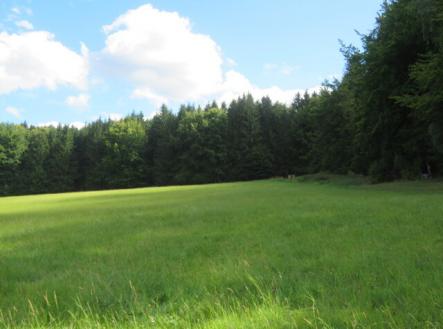 Prodej pozemku, trvalý travní porost, 4 175 m²