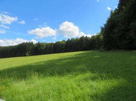 Prodej pozemku, trvalý travní porost, 4 175 m²