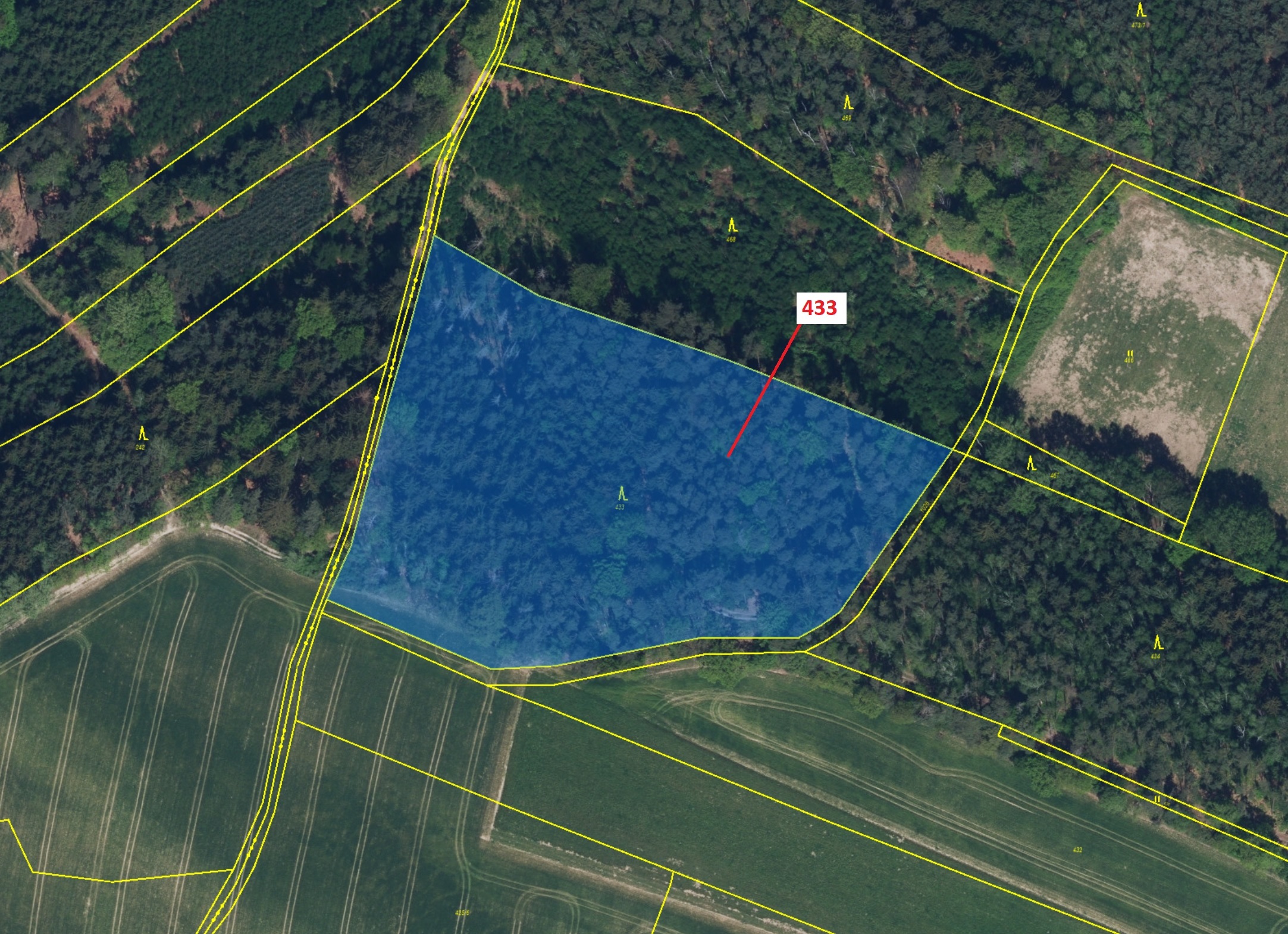 Lesní pozemek o výměře 15 106 m2, podíl 1/1, katastrální území Olešnice u Rychnova nad Kněžnou, obec