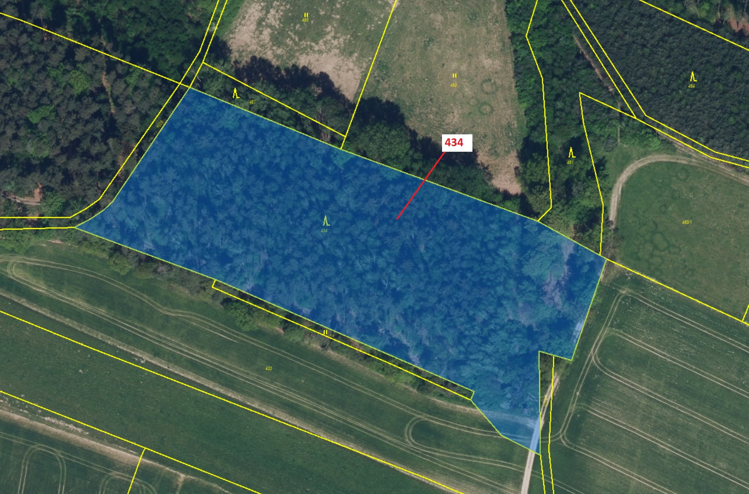 Lesní pozemek o výměře 15 378 m2, podíl 1/1, katastrální území Olešnice u Rychnova nad Kněžnou, obec