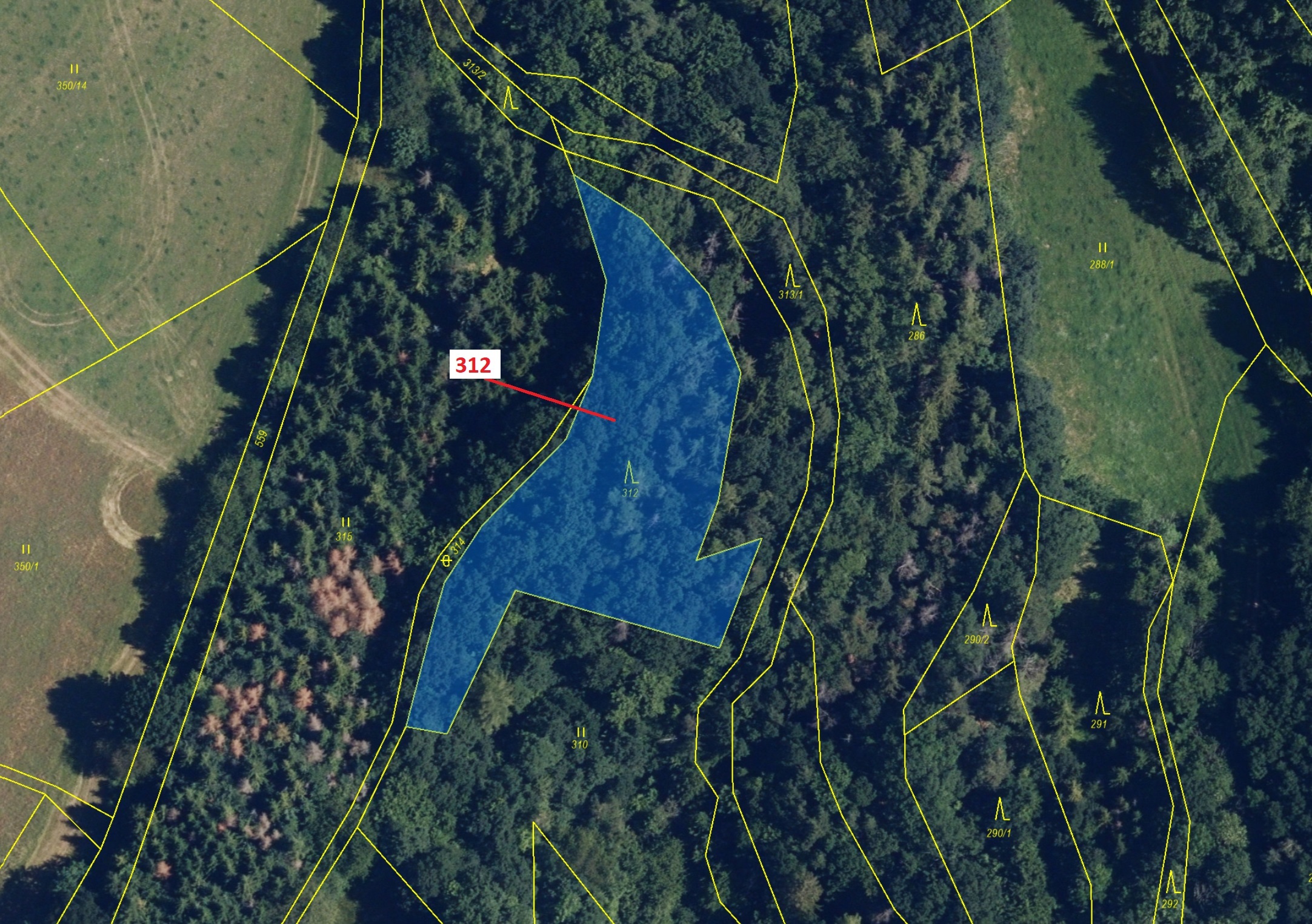 Lesní pozemek o výměře 2554 m2, podíl 1/1, katastrální území Bezděkov nad Třebůvkou, obec Bouzov, ob