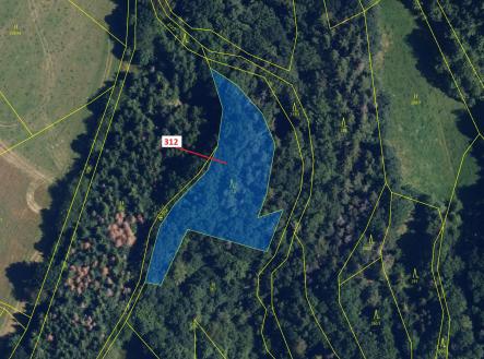 Prodej pozemku, les, 2 554 m²