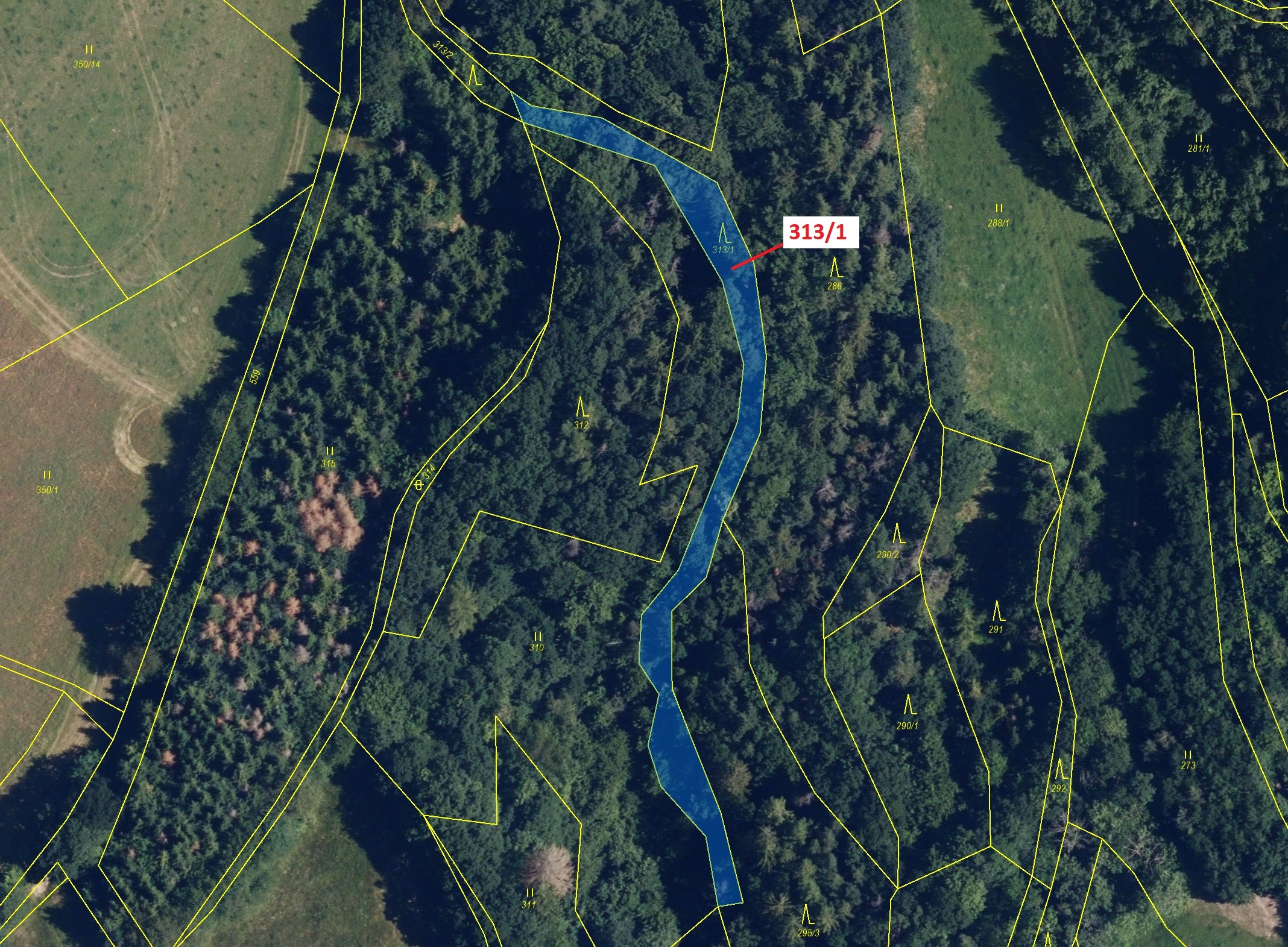 Lesní pozemek o výměře 1158 m2, podíl 1/1, katastrální území Bezděkov nad Třebůvkou, obec Bouzov, ob