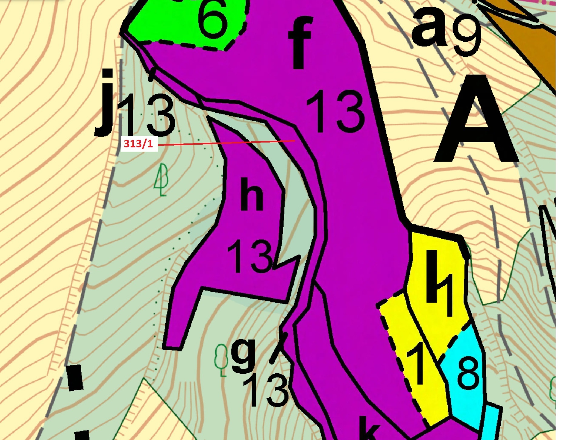 Lesní pozemek o výměře 1158 m2, podíl 1/1, katastrální území Bezděkov nad Třebůvkou, obec Bouzov, ob