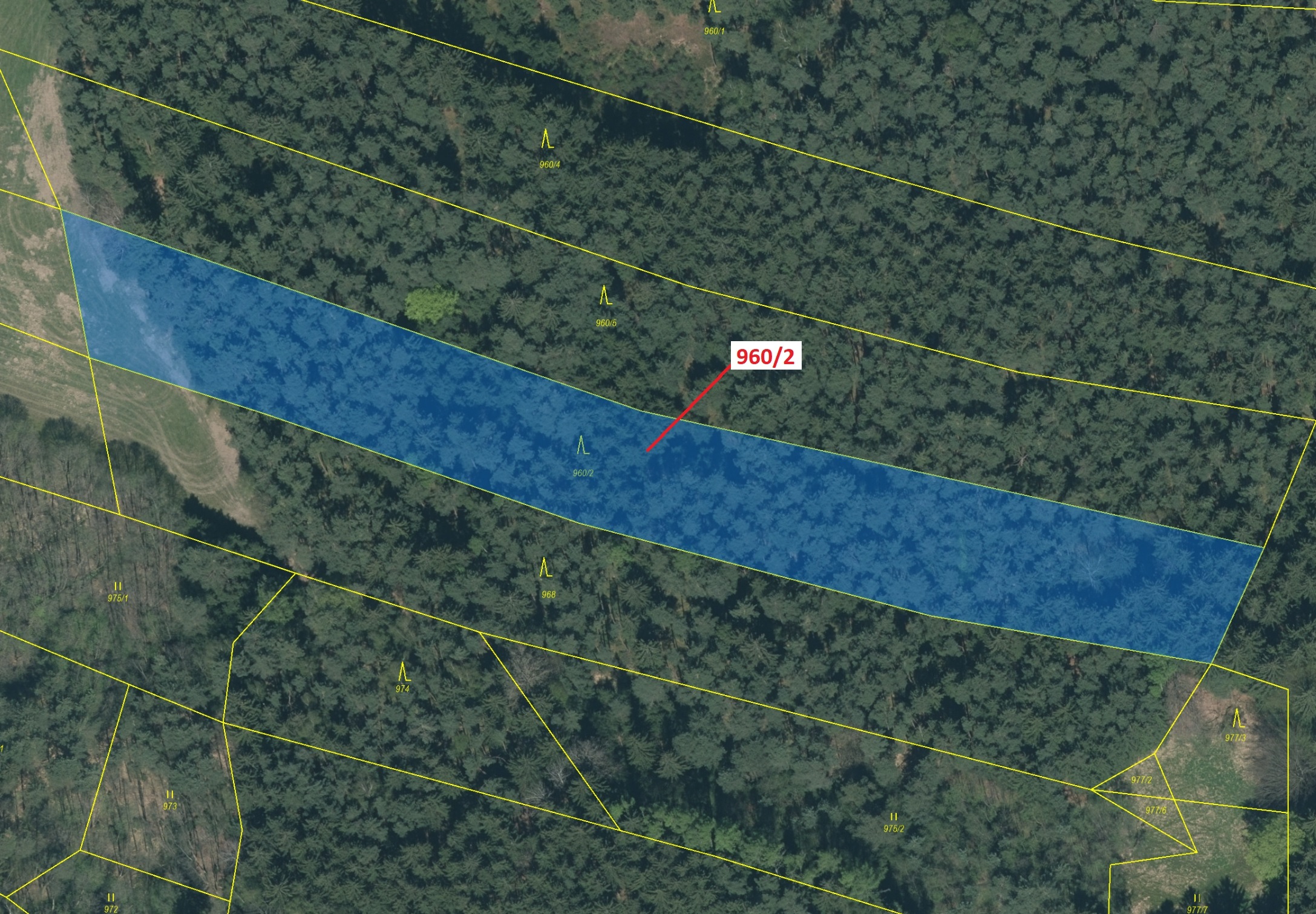 Lesní pozemek o výměře 7607 m2, podíl 1/1, katastrální území Psárov, obec Psárov, obec s rozšířenou 