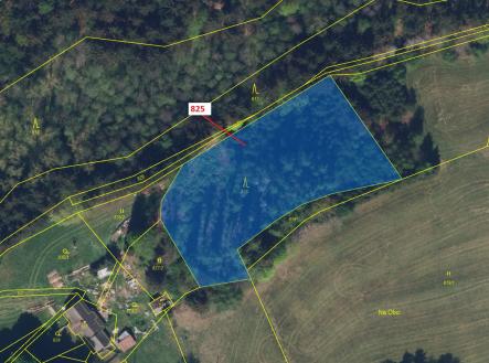 Prodej pozemku, les, 4 071 m²