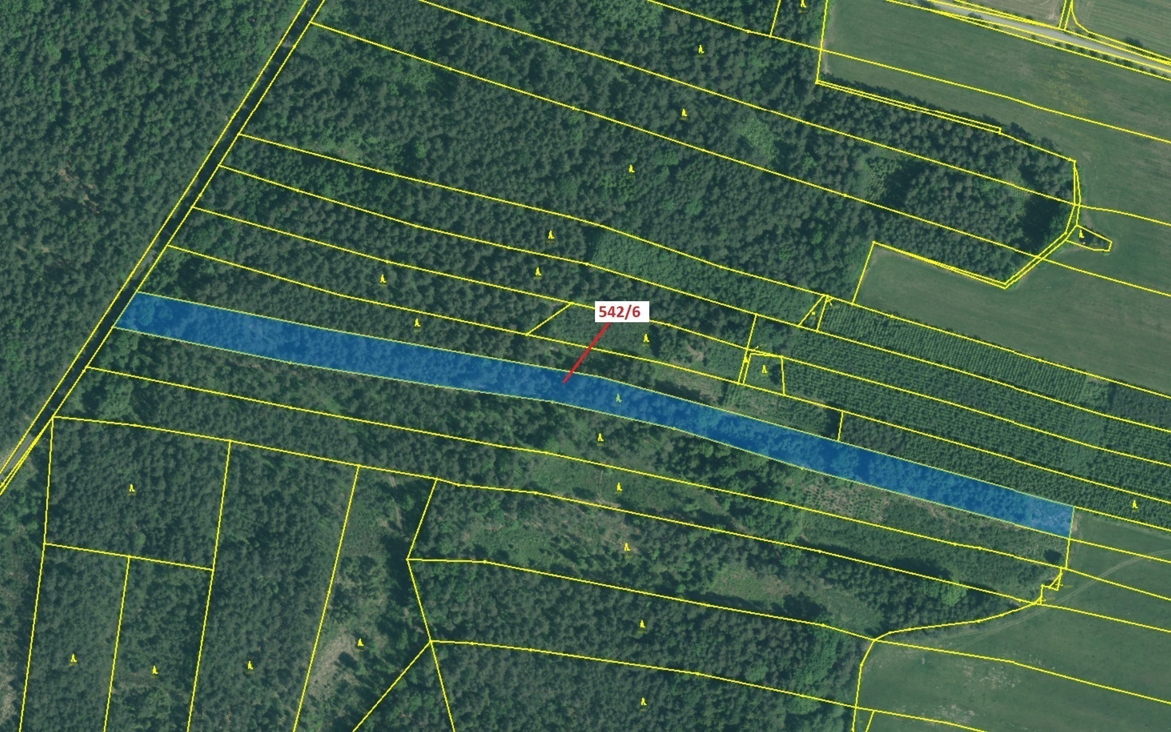 Lesní pozemek o výměře 13 375 m2, podíl 1/1, katastrální území Jílovice u Trhových Svinů, obec Jílov