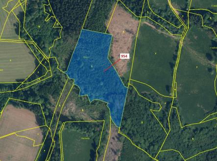 Prodej pozemku, les, 20 539 m²