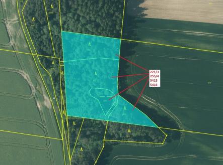 Prodej pozemku, les, 7 902 m²