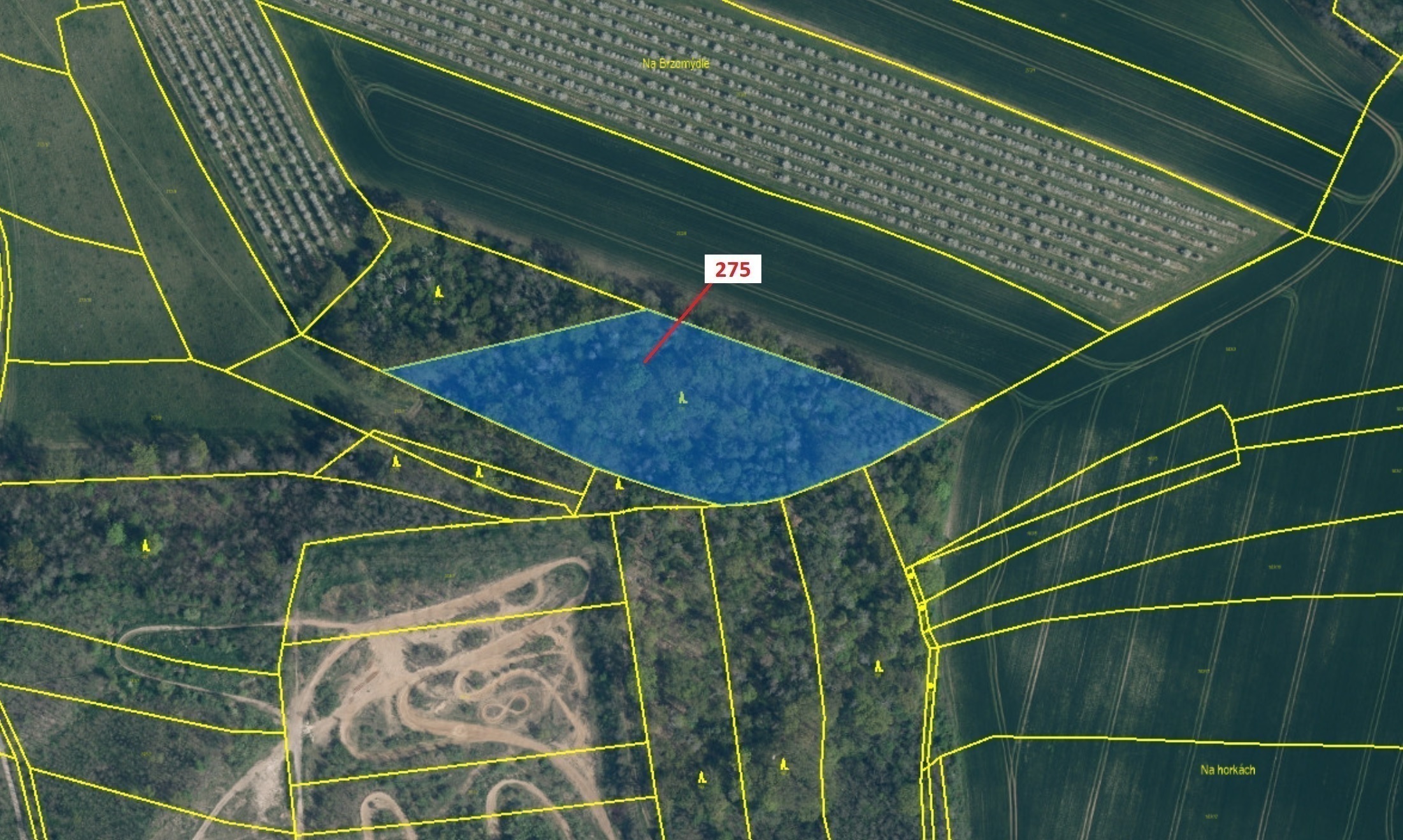 Lesní pozemek o výměře 10 319 m2, podíl 1/1, katastrální území Jeviněves, obec Jeviněves, obec s roz